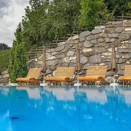 Moselebauer Otel