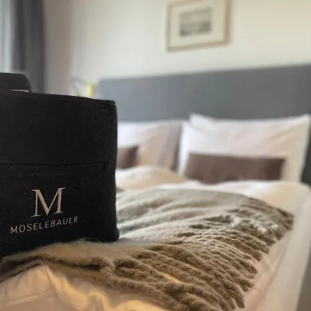 Moselebauer Hotell 4*