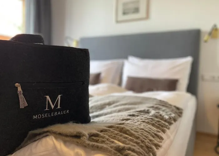 Moselebauer Otel 4*
